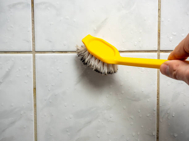 Best Attic Mold Removal  in Gate City, VA