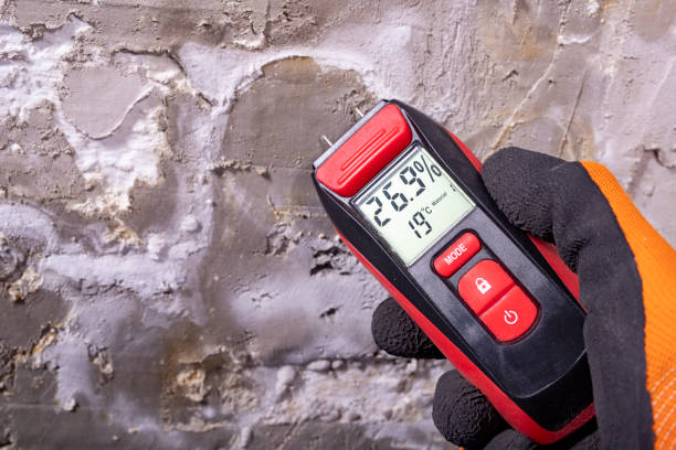 Best Crawl Space Mold Removal  in Gate City, VA