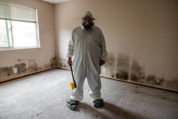 Best Emergency Mold Removal  in Gate City, VA
