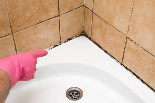 Best Mold Cleaning Services  in Gate City, VA